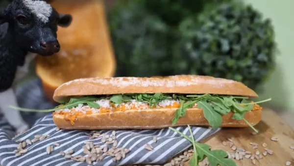 Broodje Carpaccio Style: vers belegd broodje met preparé, rucola, mosterd-dillesaus, parmezaan en zonnebloempitjes.