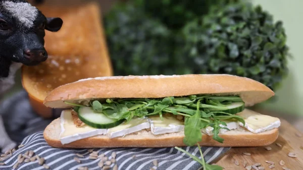 Broodje Markt 15: vers belegd broodje (bruin of wit) met roombrie, rucola, komkommer, walnoten en honing.